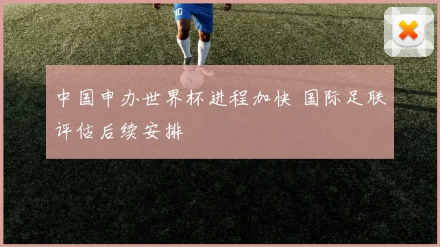 中国申办世界杯进程加快 国际足联评估后续安排