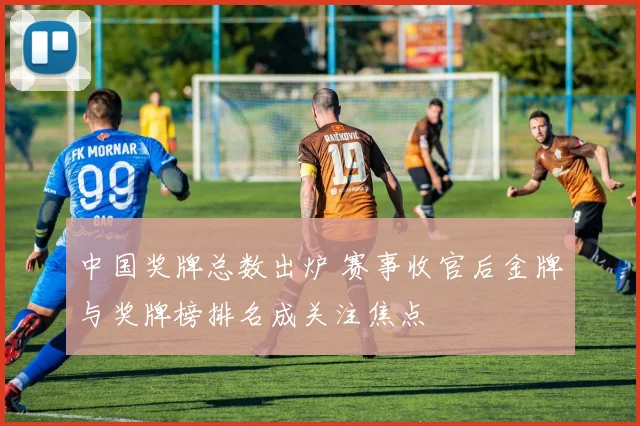 中国奖牌总数出炉 赛事收官后金牌与奖牌榜排名成关注焦点