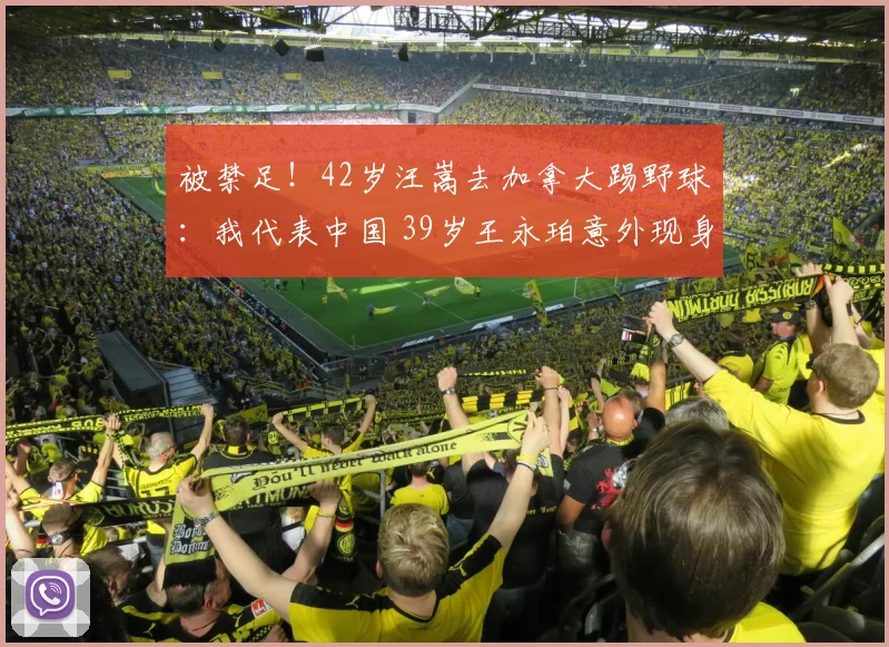 被禁足!42岁汪嵩去加拿大踢野球:我代表中国 39岁王永珀意外现身